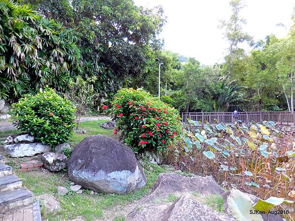 34-DSCN5672.JPG 34-DSCN5672.JPG