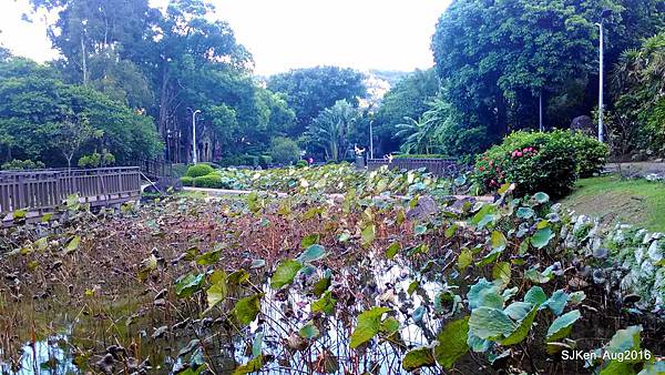 38-P_20160814_172327.JPG 38-P_20160814_172327.JPG