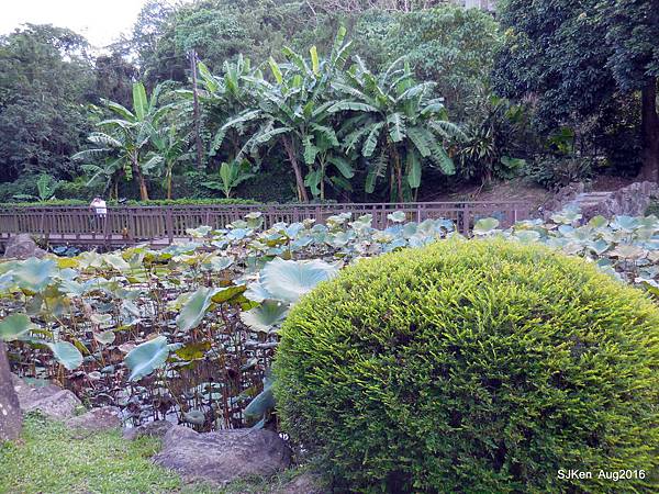 42-DSCN5696.JPG 42-DSCN5696.JPG