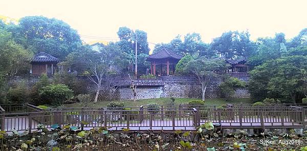 43-P_20160814_172256.JPG 43-P_20160814_172256.JPG