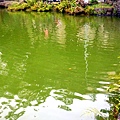 13-DSCN7038.JPG