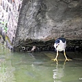 14-DSCN7040.JPG
