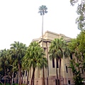 26-DSCN6959.JPG