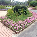 50-DSCN6987.JPG