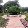 51-DSCN6988.JPG