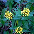 53-DSCN6992.JPG