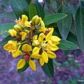 54-DSCN6998.JPG