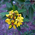 55-DSCN6999.JPG