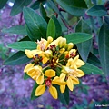 56-DSCN7000.JPG