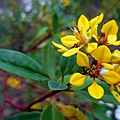 57-DSCN7001.JPG