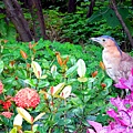 66-DSCN7006.JPG