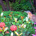 67-DSCN7009.JPG