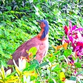68-DSCN7011.JPG