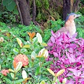 69-DSCN7013.JPG
