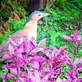 70-DSCN7012.JPG
