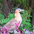 71-DSCN7014.JPG