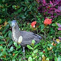 72-DSCN7020.JPG