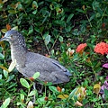 75-DSCN7021.JPG