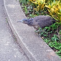 76-DSCN7022.JPG