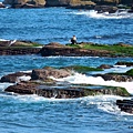 22-DSCN5731.JPG