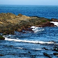 42-DSCN5889.JPG