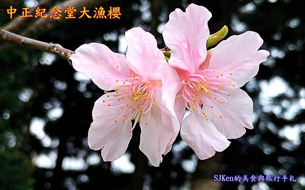 00-P_20180227_124959_vHDR_Auto_1.jpg 00-P_20180227_124959_vHDR_Auto_1.jpg