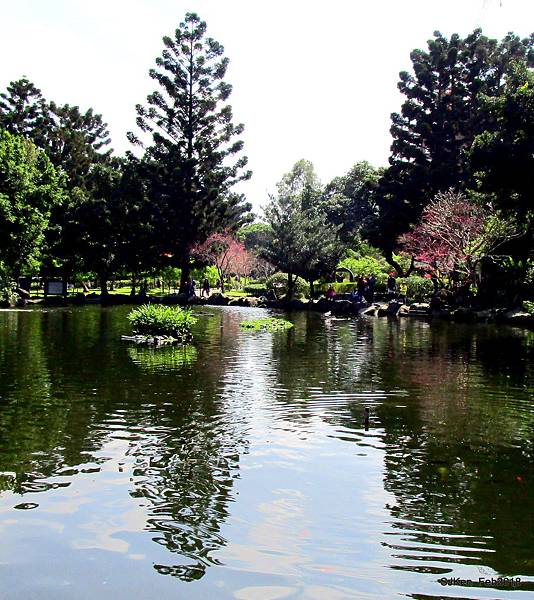 12-IMG_8363.JPG 12-IMG_8363.JPG