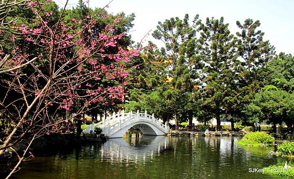 13-IMG_8389.JPG 13-IMG_8389.JPG