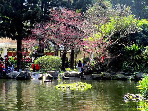 14-IMG_8352.JPG 14-IMG_8352.JPG