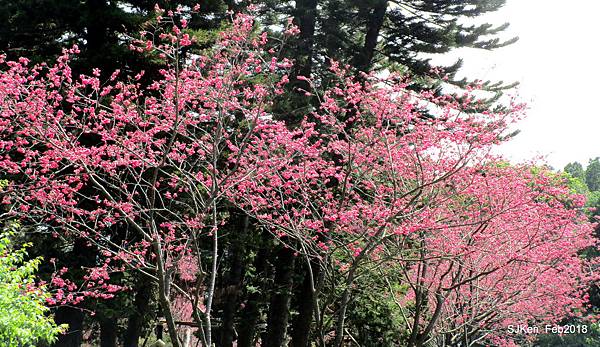 15-IMG_8399.JPG 15-IMG_8399.JPG