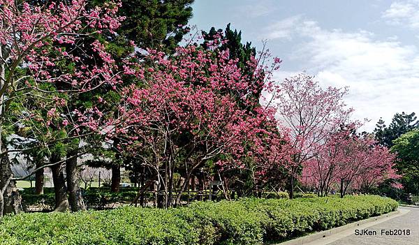 19-P_20180227_115740_vHDR_Auto_HP.JPG 19-P_20180227_115740_vHDR_Auto_HP.JPG