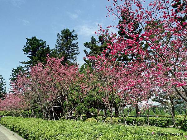 20-P_20180227_120026_vHDR_Auto_HP.JPG 20-P_20180227_120026_vHDR_Auto_HP.JPG