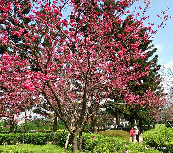 23-P_20180227_120019_vHDR_Auto_HP.JPG 23-P_20180227_120019_vHDR_Auto_HP.JPG