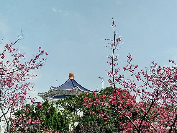 25-P_20180227_120103_vHDR_Auto_HP.JPG 25-P_20180227_120103_vHDR_Auto_HP.JPG