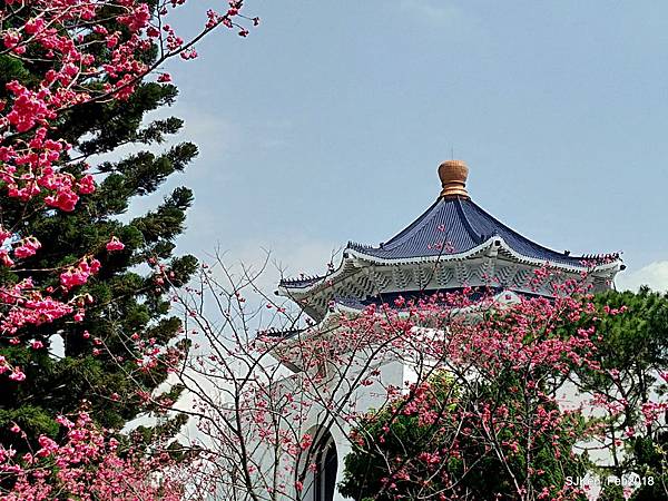 27-P_20180227_120012_vHDR_Auto_HP.JPG 27-P_20180227_120012_vHDR_Auto_HP.JPG