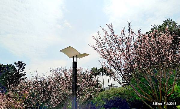 28-P_20180227_120924_vHDR_Auto_HP.JPG 28-P_20180227_120924_vHDR_Auto_HP.JPG