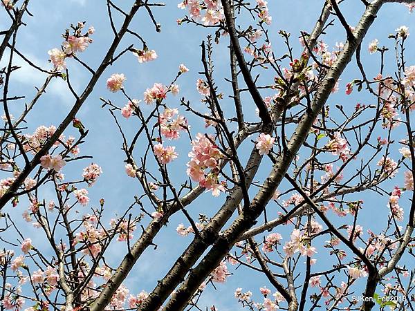 32-P_20180227_121014_vHDR_Auto.JPG 32-P_20180227_121014_vHDR_Auto.JPG