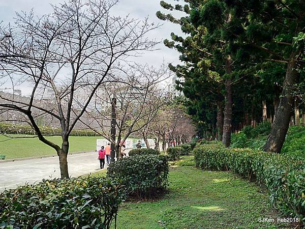 36-P_20180227_122839_vHDR_Auto_HP.JPG 36-P_20180227_122839_vHDR_Auto_HP.JPG