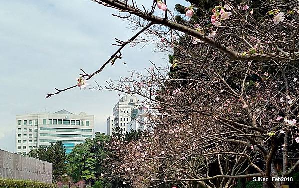 37-P_20180227_122911_vHDR_Auto_HP.JPG 37-P_20180227_122911_vHDR_Auto_HP.JPG