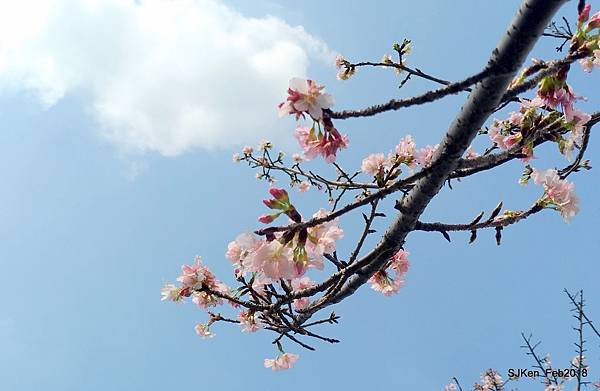 40-P_20180227_121746_1_vHDR_Auto.JPG 40-P_20180227_121746_1_vHDR_Auto.JPG