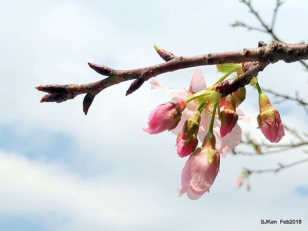 41-P_20180227_124028_vHDR_Auto.JPG 41-P_20180227_124028_vHDR_Auto.JPG