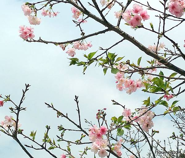 44-P_20180227_124204_vHDR_Auto.JPG 44-P_20180227_124204_vHDR_Auto.JPG