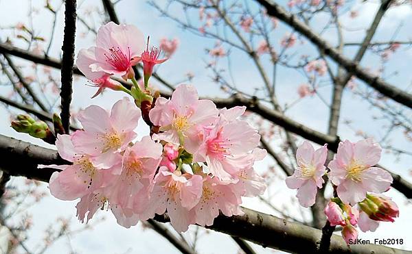 47-P_20180227_121734_vHDR_Auto_HP.JPG 47-P_20180227_121734_vHDR_Auto_HP.JPG