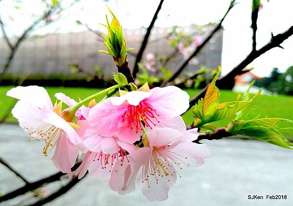 60-P_20180227_125141_vHDR_Auto_1.JPG 60-P_20180227_125141_vHDR_Auto_1.JPG