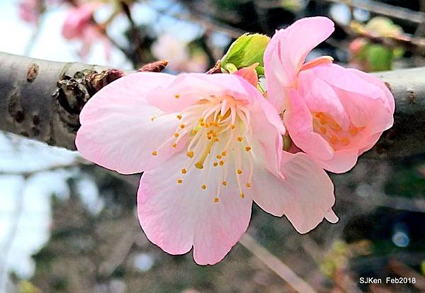 61-P_20180227_123842_vHDR_Auto_HP.JPG 61-P_20180227_123842_vHDR_Auto_HP.JPG