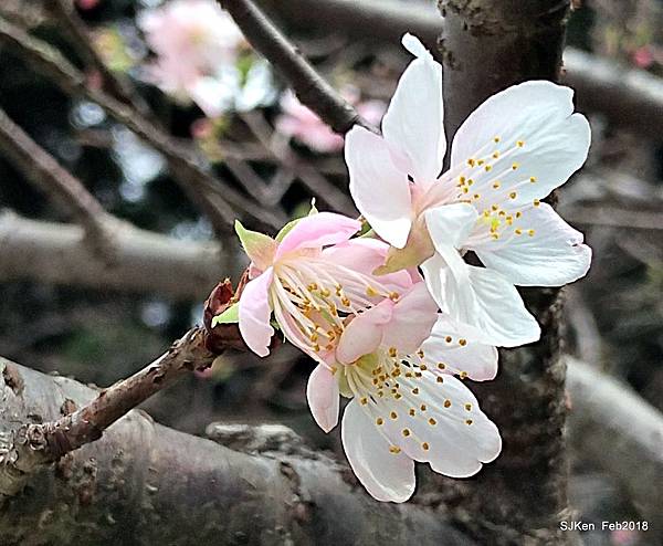 64-P_20180227_123850_vHDR_Auto_HP.JPG 64-P_20180227_123850_vHDR_Auto_HP.JPG