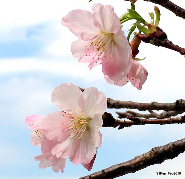 66-P_20180227_123907_vHDR_Auto.JPG 66-P_20180227_123907_vHDR_Auto.JPG