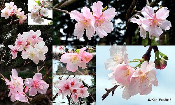 69-2018.021.JPG 69-2018.021.JPG