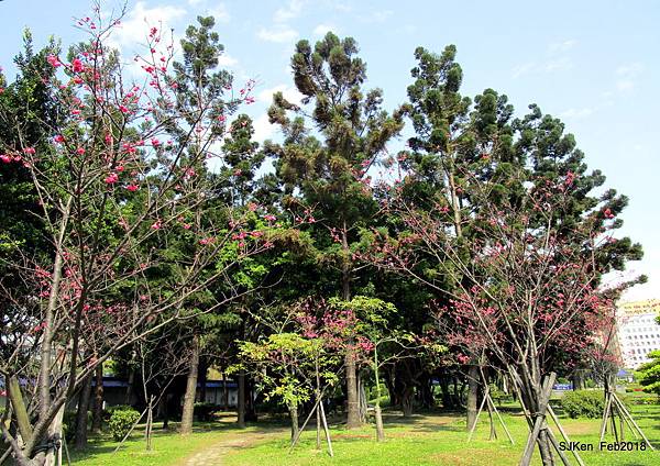 1-IMG_8321.JPG 1-IMG_8321.JPG