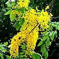 13-P_20180615_150051_1.jpg